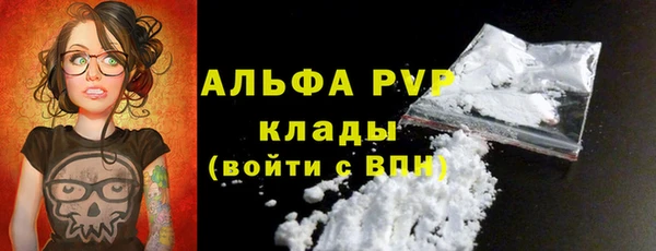 индика Липки