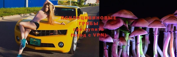 индика Липки