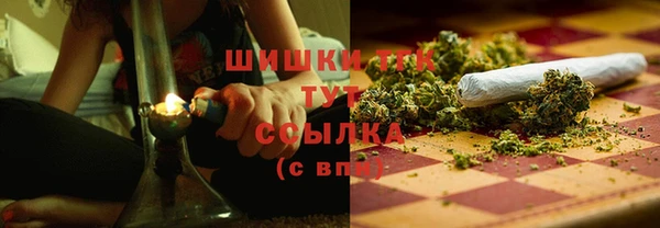 индика Липки