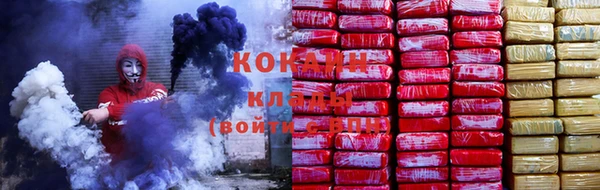 индика Липки