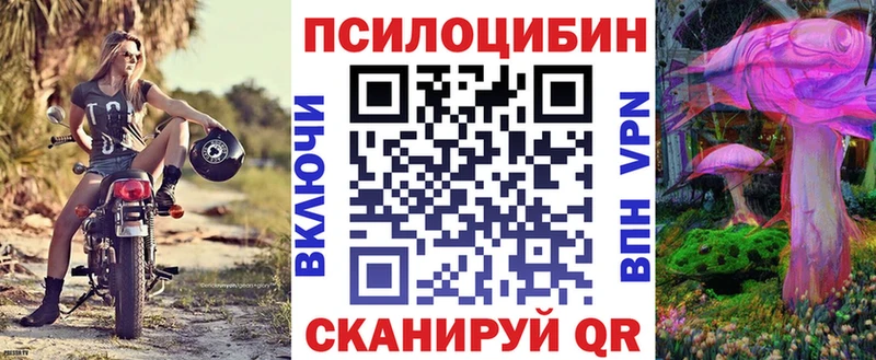 Галлюциногенные грибы Psilocybe  Усть-Джегута 