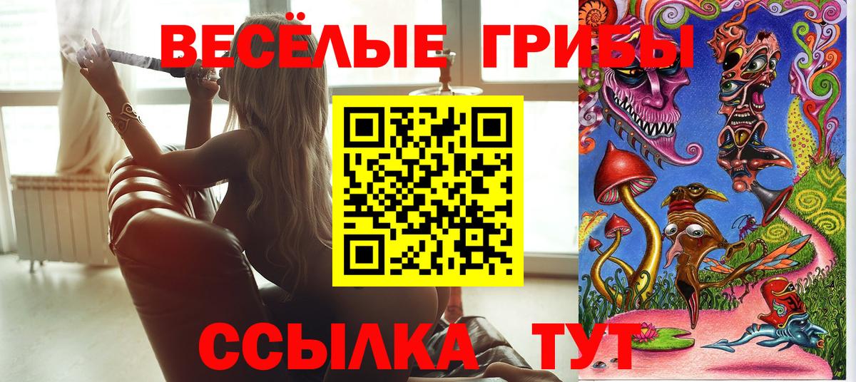 Усть-Джегута  Псилоцибиновые грибы GOLDEN TEACHER  Вход с VPN  Псилоцибиновые грибы ЛСД 