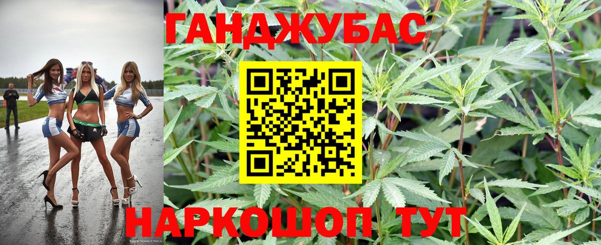 Конопля AK-47  Вход с VPN  Конопля конопля  Усть-Джегута  Каннабис сатива 